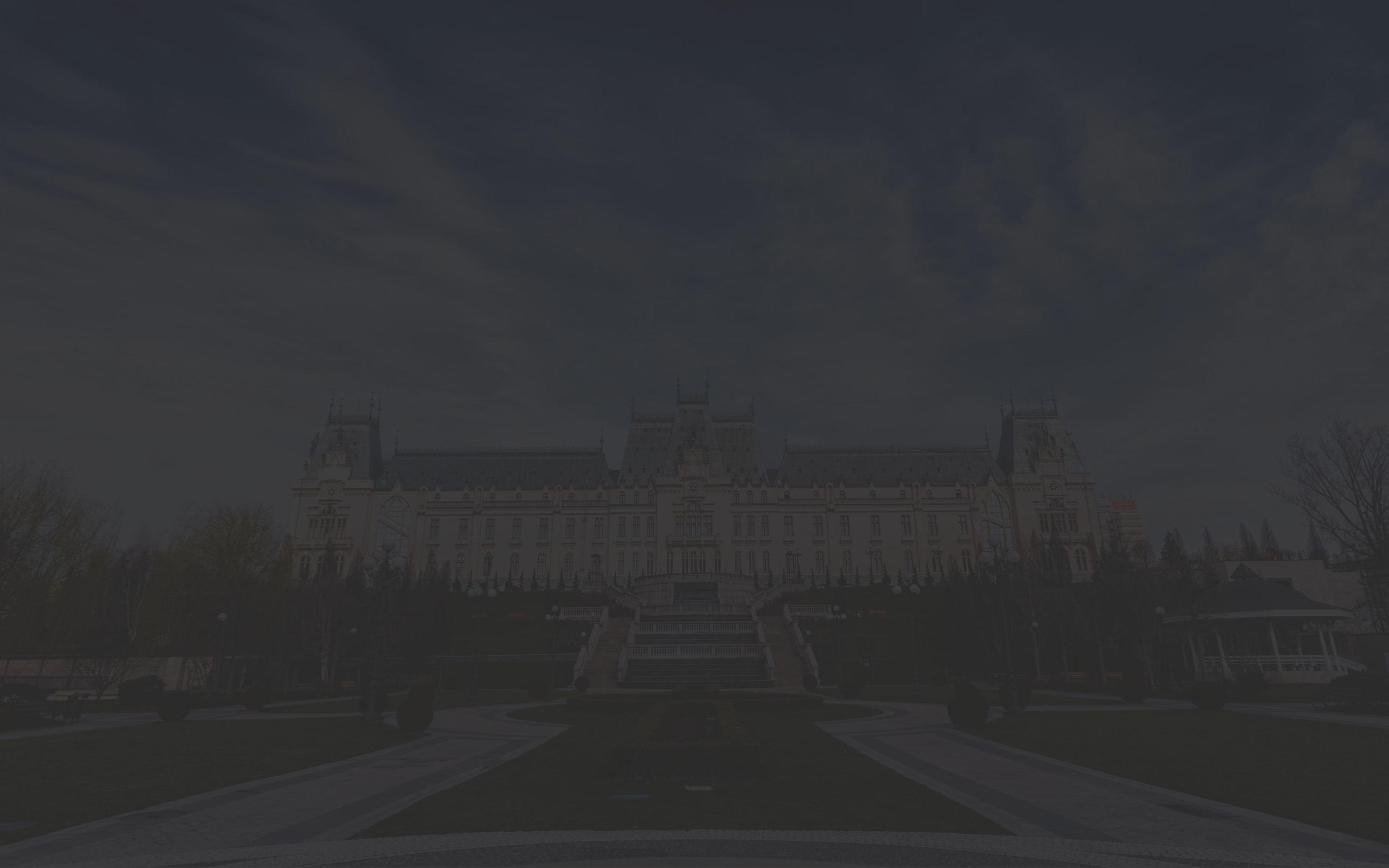 People working on laptops